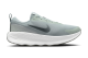 Nike Promina (FV5285-003) grau 2