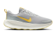 Nike Promina (FV5285-007) grau 6
