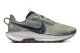 Nike Pegasus 5 Trail (DV3864-300) grau 6