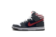 Nike SB Dunk Born In The USA Premium High (313171-100) bunt 4