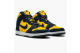 Nike Dunk High Pro SB Michigan (305050 741) bunt 2