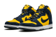Nike Dunk High Pro SB Michigan (305050 741) bunt 4