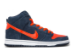 Nike Dunk High Pro SB Syracuse (305050-481) bunt 3