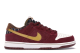 Nike SB Dunk Anchorman Low (304292 672) bunt 3