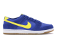 Nike SB Zoom Dunk Low Pro Boca (854866-471) blau 3