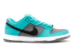 Nike SB Dunk Low Dusty Cactus Pro (304292 303) bunt 4
