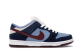 Nike SB Dunk Low Finally FTC (313170-463) bunt 3
