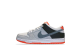 Nike SB Dunk Infrared Label Low (CD2563-004) bunt 5