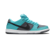 Nike SB Dunk Low Dusty Cactus Pro (304292 303) bunt 5