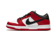 Nike Dunk Low SB J Pack Chicago Pro (BQ6817-600) bunt 2