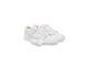 Nike Dunk Low Pro SB (FJ1674 100) weiss 1
