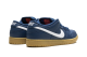 Nike Dunk Low SB ISO Pro (FJ1674 400) blau 3