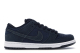 Nike Dunk Low Pro SB Passport US (304292 407) blau 4