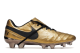 Nike Tiempo Legend x Roma VI SE FG Totti (AA0612-706) gold 2