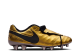 Nike Tiempo Legend x Roma VI SE FG Totti (AA0612-706) gold 4