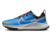 Nike Pegasus Trail 4 (DJ6159-401) blau 5