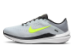 Nike Winflo 10 (DV4022-007) grau 1