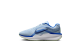 Nike Winflo 11 (FJ9509-404) blau 1