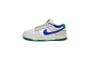 Nike Dunk Low Premium (FB7910 100) weiss 1