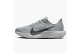 Nike Pegasus Plus Zoomx Photon Dust Summit Light Smoke Grey Cool womens (FQ7261-004) grau 1