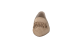 Paul Green Slipper Trotteur (2697-019) beige 3