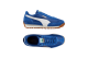 PUMA Easy Rider Vintage (399028/009) blau 1