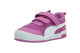 PUMA Multiflex (405647_03) rose 6