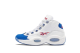 Reebok Question Mid Double Cross (FV7563) bunt 3