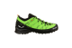 Salewa Wildfire 2 (61404-5660) grün 1