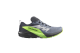 Salomon Sense Ride 5 GTX (L47312800) grau 6