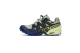 Salomon Speedcross 6 GTX (L47584000) bunt 6