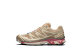 Salomon XT 6 Advanced (415747) beige 2