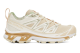 Salomon XT 6 Expanse Cottage Core (L47154800) beige 2