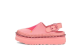 UGG Collina Strada x Clog Flamingo (1165770-PINK) pink 1