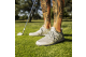 adidas Ultraboost Spikeless Golf (GV6920) beige 4