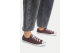 Converse Chuck Taylor All Star Dainty (A13800C) marrone 1