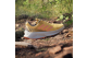 adidas Soulstride Flow Trail (ID7720) gelb 2