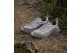 adidas Trailmaker 2.0 Gore Tex 2 GTX (IH3790) grau 4