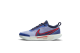 Nike Zoom Pro (DH2603-400) blau 1