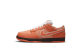 Nike SB Dunk Low Lobster Concepts (FD8776 800) orange 5