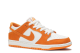 Nike Zoom Dunk Low Pro SB Circuit (854866-881) bunt 6
