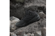 adidas Skychaser Mid GTX TEX GORE (IH1091) schwarz 6