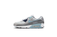 Nike Air Max 90 Pure Platinum Blue (DM0029 003) bunt 1