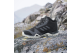 adidas AX3 Mid GORE-TEX (IF4877) schwarz 6