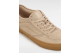 Vans Skate Rowley (VN0A2Z3O4NF) beige 4