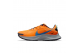 Nike Pegasus Trail 3 (DA8697-800) orange 1