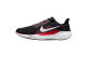 Nike Pegasus 41 (FD2722-003) schwarz 1