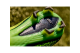 Skechers Razor 1.5 Elite FG (252020-YLBK) gelb 5
