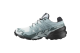 Salomon Speedcross 6 GTX TEX GORE (L47880100) bunt 4