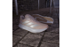 adidas Duramo SL 2 (JI3009) beige 6